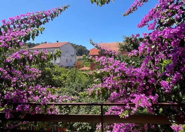 Apartments&rooms Pahljina Rab Town