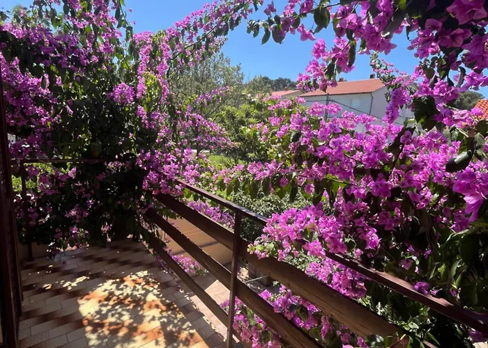 Guest house Apartments&rooms Pahljina Rab Town