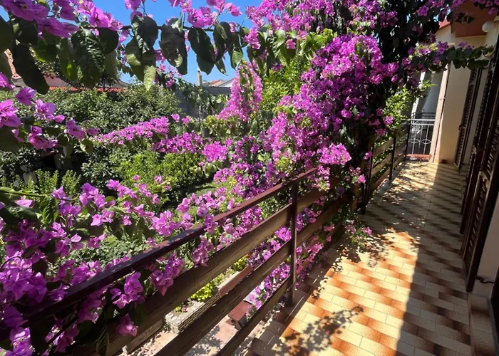 Apartments&rooms Pahljina 3*
