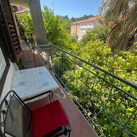 Apartments&rooms Pahljina 게스트하우스 3*