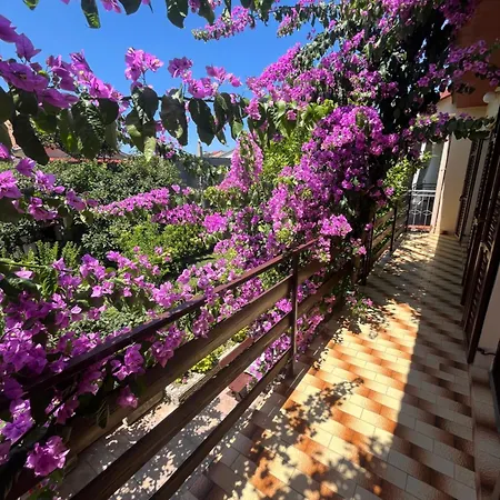 Apartments&rooms Pahljina 3*